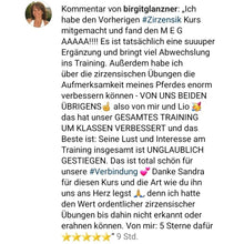 Laden Sie das Bild in den Galerie-Viewer, 🐎✨ Online-Ausbildung in zirzensischer Gymnastik - Silber-Geschenk-EDITION 🎁✨