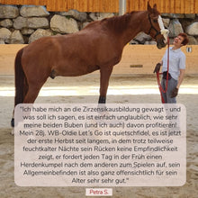 Laden Sie das Bild in den Galerie-Viewer, 🐎✨ Online-Ausbildung in zirzensischer Gymnastik - Silber-Geschenk-EDITION 🎁✨