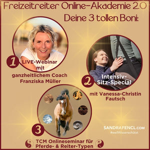 🐎 ✨ Neue Freizeitreiter-Online-Akademie 2.0: Selbstlern Edition - jetzt mit Ratenzahlung möglich