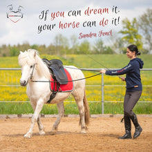 Laden Sie das Bild in den Galerie-Viewer, 🐎😍 Neue gesundheitsfördernde Gangpferde Online-Ausbildung ✨