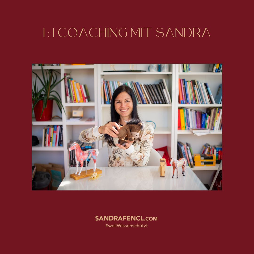 11 PferdeCoaching mit Sandra Sandra Fencl
