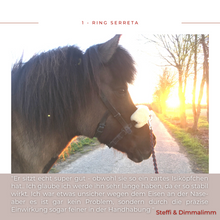 Laden Sie das Bild in den Galerie-Viewer, Serreta, lederummantelt mit einem Ring, Handarbeit
