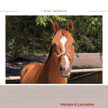 Laden Sie das Bild in den Galerie-Viewer, Serreta, lederummantelt mit einem Ring, Handarbeit
