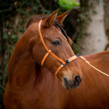 Laden Sie das Bild in den Galerie-Viewer, Serreta, lederummantelt mit einem Ring, Handarbeit