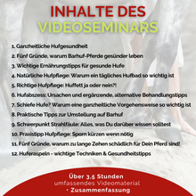 Laden Sie das Bild in den Galerie-Viewer, Videoseminar Praxiswissen Hufgesundheit Special-Edition: Was Du als Pferdefreund über Hufe unbedingt wissen solltest!