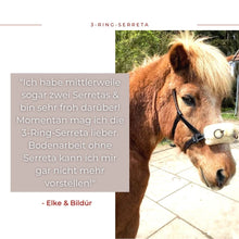 Laden Sie das Bild in den Galerie-Viewer, Serreta, lederummantelt, mit drei Ringen, Handarbeit