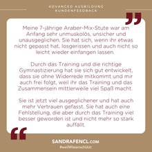 Laden Sie das Bild in den Galerie-Viewer, ⭐ADVANCED 3.0 - SILBER-Edition 2025/2026 🐎