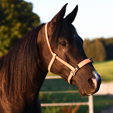 Laden Sie das Bild in den Galerie-Viewer, Serreta, lederummantelt mit einem Ring, Handarbeit