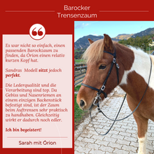Laden Sie das Bild in den Galerie-Viewer, 🐎✨ Lager-Abverkauf: Barocker Trensenzaum mit einem Paar Zügel
