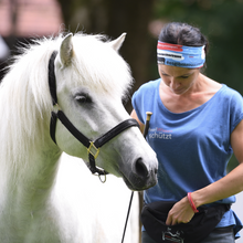 Laden Sie das Bild in den Galerie-Viewer, Handy-/Ausreit- und Leckerli-Bauchtasche