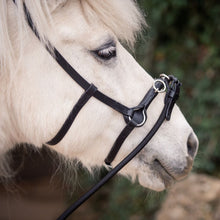 Laden Sie das Bild in den Galerie-Viewer, Hochwertiges, iberisches Bodenarbeitsseil in braun oder schwarz, echte Handarbeit