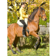 Laden Sie das Bild in den Galerie-Viewer, 🐎✨ LAGER-Abverkaufs-Special: Christ Fellsattel Iberica Plus