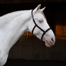 Laden Sie das Bild in den Galerie-Viewer, Serreta, lederummantelt mit einem Ring, Handarbeit