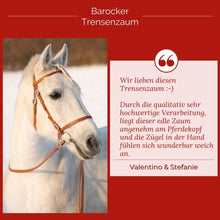 Laden Sie das Bild in den Galerie-Viewer, 🐎✨ Lager-Abverkauf: Barocker Trensenzaum mit einem Paar Zügel