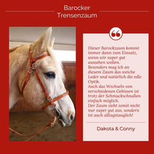 Laden Sie das Bild in den Galerie-Viewer, 🐎✨ Lager-Abverkauf: Barocker Trensenzaum mit einem Paar Zügel
