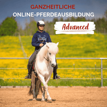 Laden Sie das Bild in den Galerie-Viewer, ⭐ADVANCED 3.0 - SILBER-Edition 2025/2026 🐎