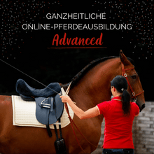 Laden Sie das Bild in den Galerie-Viewer, ⭐ADVANCED 3.0 - SILBER-Edition 2025/2026 🐎