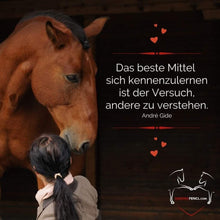 Laden Sie das Bild in den Galerie-Viewer, ⭐ADVANCED 3.0 - SILBER-Edition 2025/2026 🐎