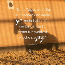 Laden Sie das Bild in den Galerie-Viewer, ⭐ADVANCED 3.0 - SILBER-Edition 2025/2026 🐎