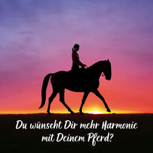 Laden Sie das Bild in den Galerie-Viewer, ⭐ADVANCED 3.0 - SILBER-Edition 2025/2026 🐎