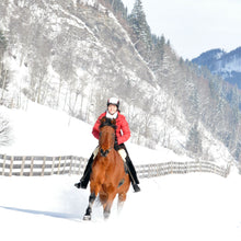 Laden Sie das Bild in den Galerie-Viewer, Grandeur, Modell Tomentum Dressur