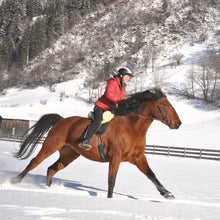 Laden Sie das Bild in den Galerie-Viewer, Grandeur, Modell Tomentum Dressur