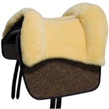 Laden Sie das Bild in den Galerie-Viewer, 🐎✨ LAGER-Abverkaufs-Special: Grandeur, Modell Tomentum Barock, (Größe Pony = bis Konfektionsgröße 38/40)