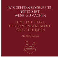 Laden Sie das Bild in den Galerie-Viewer, ⭐ADVANCED 3.0 - SILBER-Edition 2025/2026 🐎