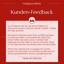 Laden Sie das Bild in den Galerie-Viewer, Videoseminar Praxiswissen Hufgesundheit Special-Edition: Was Du als Pferdefreund über Hufe unbedingt wissen solltest!