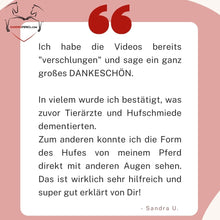 Laden Sie das Bild in den Galerie-Viewer, Videoseminar Praxiswissen Hufgesundheit Special-Edition: Was Du als Pferdefreund über Hufe unbedingt wissen solltest!