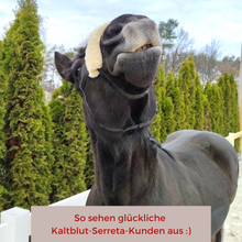 Laden Sie das Bild in den Galerie-Viewer, Serreta Sondergröße Kaltblut mit drei Ringen, Handarbeit