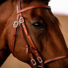 Laden Sie das Bild in den Galerie-Viewer, 🐎✨ Lager-Abverkauf: Barocker Kandarenzaum mit zwei Paar Zügel