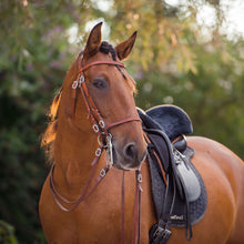 Laden Sie das Bild in den Galerie-Viewer, 🐎✨ Lager-Abverkauf: Barocker Kandarenzaum mit zwei Paar Zügel