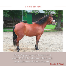 Laden Sie das Bild in den Galerie-Viewer, Lammfellschoner für 1-Ring-Serreta-Naseneisen in Natur oder Schwarz