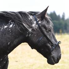 Laden Sie das Bild in den Galerie-Viewer, Serreta Sondergröße Kaltblut mit drei Ringen, Handarbeit