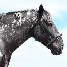 Laden Sie das Bild in den Galerie-Viewer, Serreta Sondergröße Kaltblut mit einem Ring, Handarbeit
