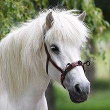 Laden Sie das Bild in den Galerie-Viewer, Serreta, lederummantelt, mit drei Ringen, Handarbeit