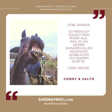 Laden Sie das Bild in den Galerie-Viewer, ⭐ADVANCED 3.0 - SILBER-Edition 2025/2026 🐎