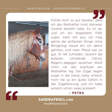 Laden Sie das Bild in den Galerie-Viewer, 🐎✨ Lager-Abverkauf: Barocker Trensenzaum mit einem Paar Zügel