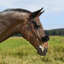 Laden Sie das Bild in den Galerie-Viewer, Lammfellschoner für 1-Ring-Serreta-Naseneisen in Natur oder Schwarz