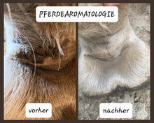 Laden Sie das Bild in den Galerie-Viewer, Young Living "Melrose" ätherische Ölmischung 15ml