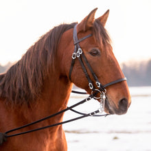 Laden Sie das Bild in den Galerie-Viewer, 🐎✨ Lager-Abverkauf: Barocker Kandarenzaum mit zwei Paar Zügel