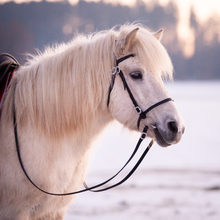 Laden Sie das Bild in den Galerie-Viewer, 🐎✨ Lager-Abverkauf: Barocker Trensenzaum mit einem Paar Zügel