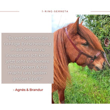 Laden Sie das Bild in den Galerie-Viewer, Serreta, lederummantelt mit einem Ring, Handarbeit