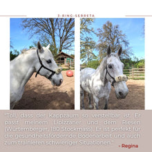 Laden Sie das Bild in den Galerie-Viewer, Serreta, lederummantelt, mit drei Ringen, Handarbeit