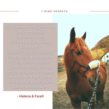 Laden Sie das Bild in den Galerie-Viewer, Serreta, lederummantelt mit einem Ring, Handarbeit