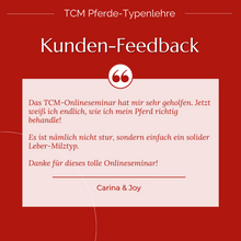 Laden Sie das Bild in den Galerie-Viewer, TCM Pferde-Typenlehre plus Webinar-Aufzeichnung