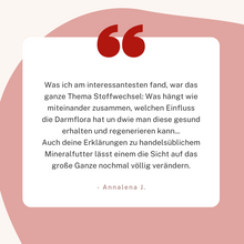 Laden Sie das Bild in den Galerie-Viewer, Videoseminar: So fütterst Du Dein Pferd gesund!