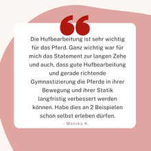 Laden Sie das Bild in den Galerie-Viewer, Videoseminar Praxiswissen Hufgesundheit Special-Edition: Was Du als Pferdefreund über Hufe unbedingt wissen solltest!