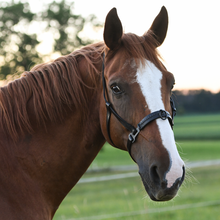 Laden Sie das Bild in den Galerie-Viewer, Serreta, lederummantelt mit einem Ring, Handarbeit